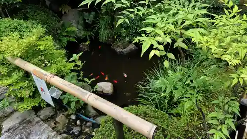 霊源院(京都府)