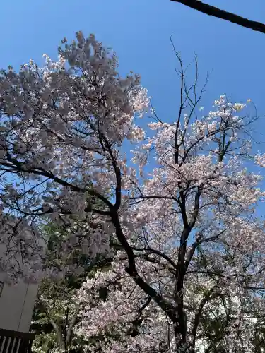 花園神社の{uncategorized: "未分類", other: "その他", undefined: "問題あり", building: "その他建物", grave: "お墓", sacred_gate: "鳥居", guardian: "狛犬", statue: "像", buddha: "仏像", history: "歴史", nature: "自然", garden: "庭園", animal: "動物", pagoda: "塔", temizu: "手水舎", mountain_gate: "山門・神門", sanctuary: "本殿・本堂", subordinate: "末社・摂社", art: "芸術", scenery: "景色", jizo: "地蔵", ema: "絵馬", goshuin: "御朱印", omikuji: "おみくじ", items: "授与品その他", amulet: "お守り", goshuincho: "御朱印帳", eats: "食事", festival: "お祭り", votive_dance: "神楽", shichigosan: "七五三参", wedding: "結婚式", experience: "体験その他", initially: "初詣", around: "周辺", anti_infection: "感染症対策"}