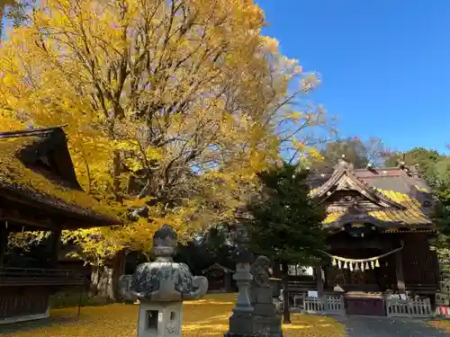 玉敷神社(埼玉県)