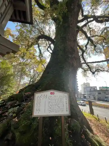 北岡神社の{uncategorized: "未分類", other: "その他", undefined: "問題あり", building: "その他建物", grave: "お墓", sacred_gate: "鳥居", guardian: "狛犬", statue: "像", buddha: "仏像", history: "歴史", nature: "自然", garden: "庭園", animal: "動物", pagoda: "塔", temizu: "手水舎", mountain_gate: "山門・神門", sanctuary: "本殿・本堂", subordinate: "末社・摂社", art: "芸術", scenery: "景色", jizo: "地蔵", ema: "絵馬", goshuin: "御朱印", omikuji: "おみくじ", items: "授与品その他", amulet: "お守り", goshuincho: "御朱印帳", eats: "食事", festival: "お祭り", votive_dance: "神楽", shichigosan: "七五三参", wedding: "結婚式", experience: "体験その他", initially: "初詣", around: "周辺", anti_infection: "感染症対策"}