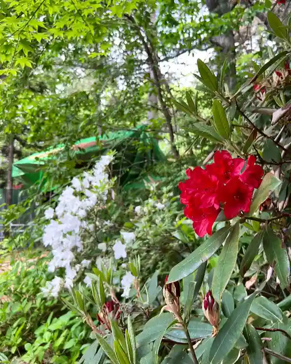 白石神社の自然