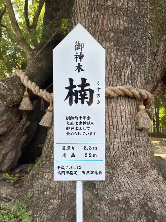 大麻比古神社(徳島県)