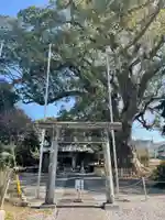 伊勢神明社の鳥居