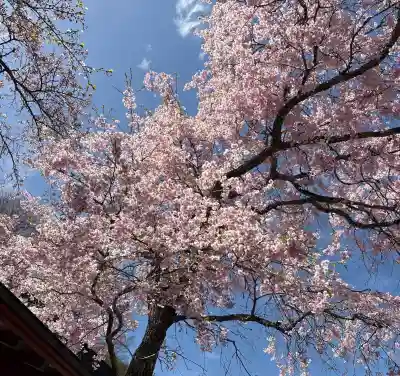 東円寺の{uncategorized: "未分類", other: "その他", undefined: "問題あり", building: "その他建物", grave: "お墓", sacred_gate: "鳥居", guardian: "狛犬", statue: "像", buddha: "仏像", history: "歴史", nature: "自然", garden: "庭園", animal: "動物", pagoda: "塔", temizu: "手水舎", mountain_gate: "山門・神門", sanctuary: "本殿・本堂", subordinate: "末社・摂社", art: "芸術", scenery: "景色", jizo: "地蔵", ema: "絵馬", goshuin: "御朱印", omikuji: "おみくじ", items: "授与品その他", amulet: "お守り", goshuincho: "御朱印帳", eats: "食事", festival: "お祭り", votive_dance: "神楽", shichigosan: "七五三参", wedding: "結婚式", experience: "体験その他", initially: "初詣", around: "周辺", anti_infection: "感染症対策"}