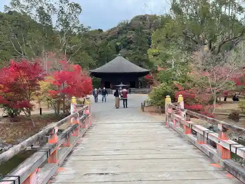 白水阿弥陀堂の本殿・本堂