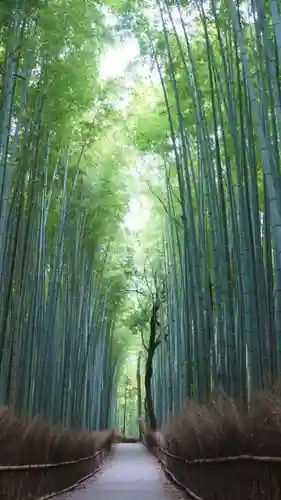 野宮神社の自然