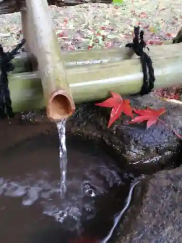 薬王寺の手水舎