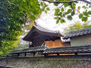 神明社(谷田神明社)の本殿・本堂
