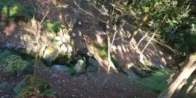 伏見稲荷大社(京都府)