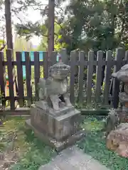 穴八幡宮の狛犬