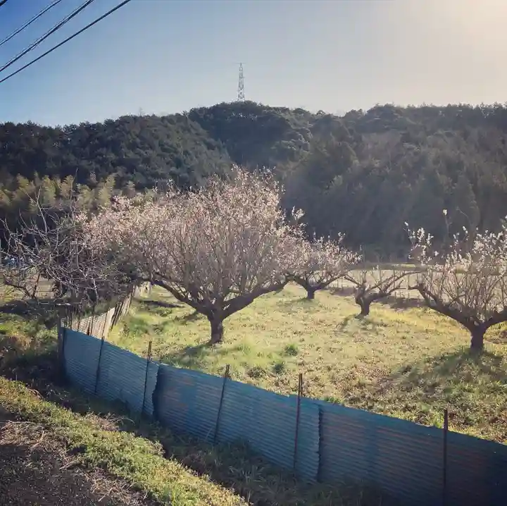 潮音院の庭園