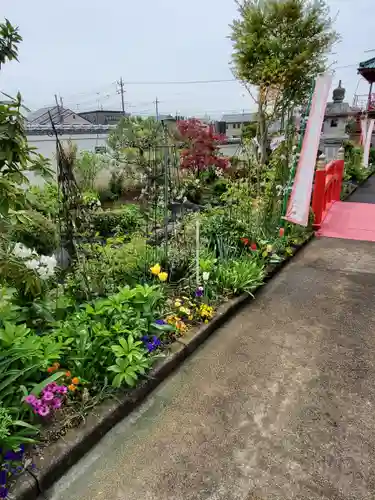 泉竜寺(乙女不動尊)の庭園