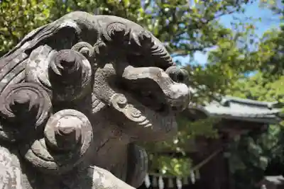 玉敷神社の狛犬