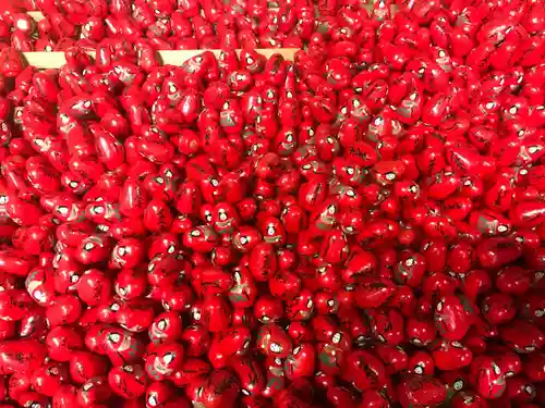 宝厳寺のその他建物