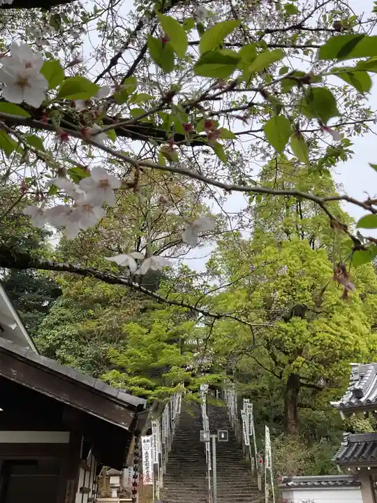 八事山 興正寺(愛知県)