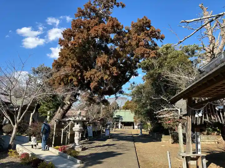 鎌数伊勢大神宮(千葉県)
