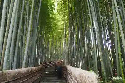 化野念仏寺(京都府)