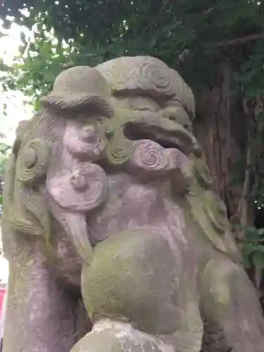 熊野神社（新井）(千葉県)