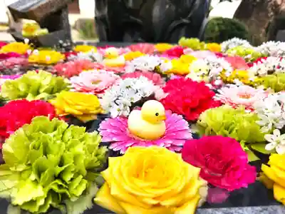 多聞寺の手水舎