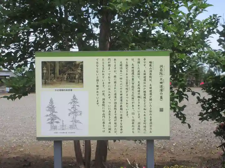 洞昌院(神奈川県)