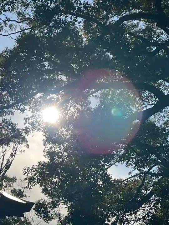 武蔵一宮氷川神社の自然