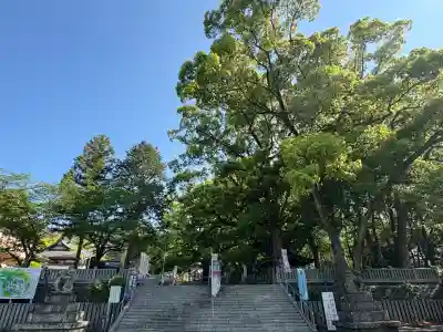 大麻比古神社(徳島県)