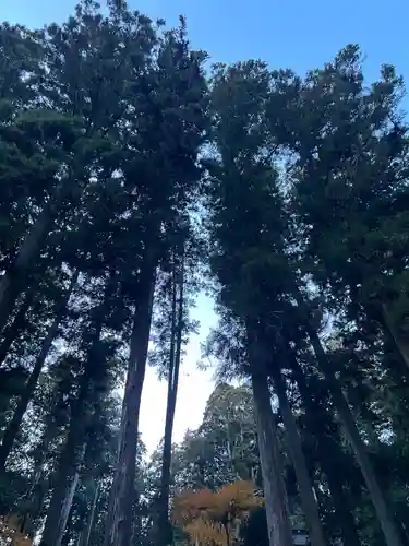 大宮温泉神社(栃木県)