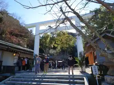 安房神社(千葉県)