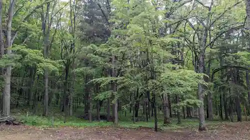 温根湯神社の自然