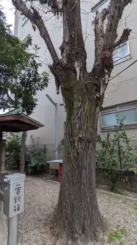 須佐之男社の自然