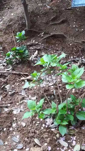 滑川神社 - 仕事と子どもの守り神の自然