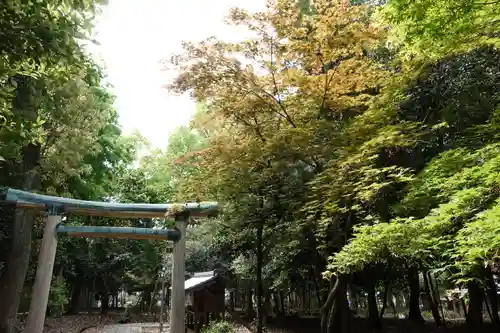 神明神社の鳥居