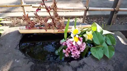 新琴似神社の手水