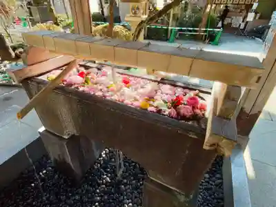鳩森八幡神社の手水舎