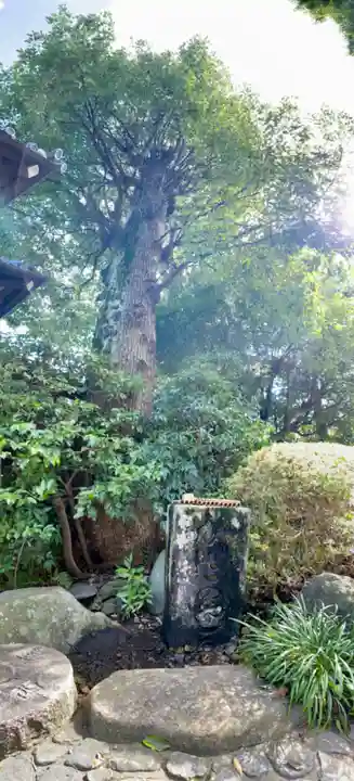 木嶋坐天照御魂神社(京都府)