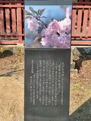 志波彦神社・鹽竈神社の{uncategorized: "未分類", other: "その他", undefined: "問題あり", building: "その他建物", grave: "お墓", sacred_gate: "鳥居", guardian: "狛犬", statue: "像", buddha: "仏像", history: "歴史", nature: "自然", garden: "庭園", animal: "動物", pagoda: "塔", temizu: "手水舎", mountain_gate: "山門・神門", sanctuary: "本殿・本堂", subordinate: "末社・摂社", art: "芸術", scenery: "景色", jizo: "地蔵", ema: "絵馬", goshuin: "御朱印", omikuji: "おみくじ", items: "授与品その他", amulet: "お守り", goshuincho: "御朱印帳", eats: "食事", festival: "お祭り", votive_dance: "神楽", shichigosan: "七五三参", wedding: "結婚式", experience: "体験その他", initially: "初詣", around: "周辺", anti_infection: "感染症対策"}