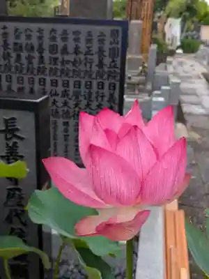 長善寺(東京都)
