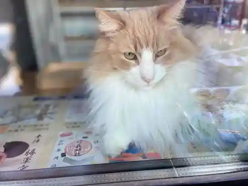 駒込妙義神社(東京都)
