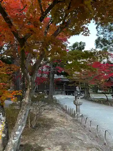 毛越寺(岩手県)