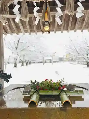 守りの神　藤基神社の手水舎