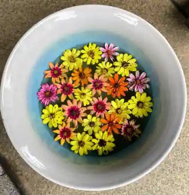 白金氷川神社(東京都)