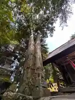 八幡神社(福井県)