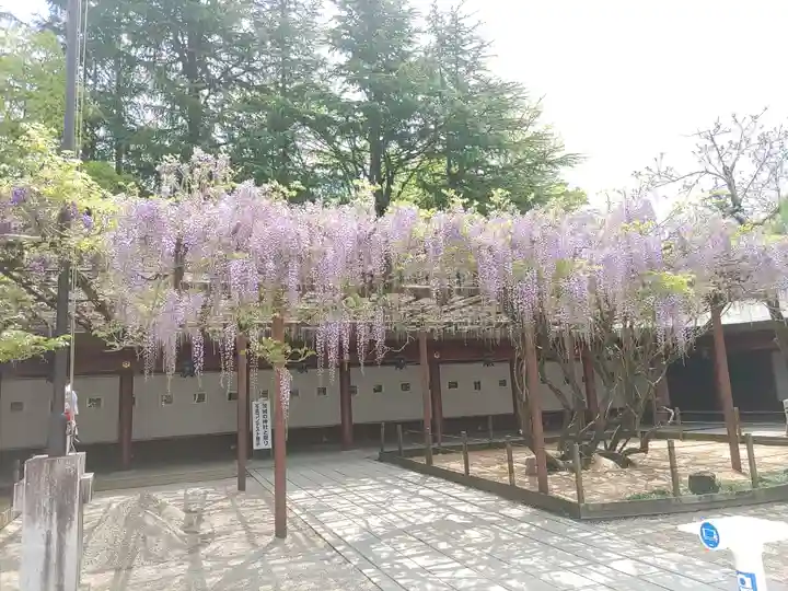 笠間稲荷神社(茨城県)