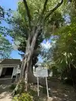 竃神社(兵庫県)