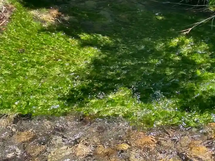 穂高神社本宮(長野県)