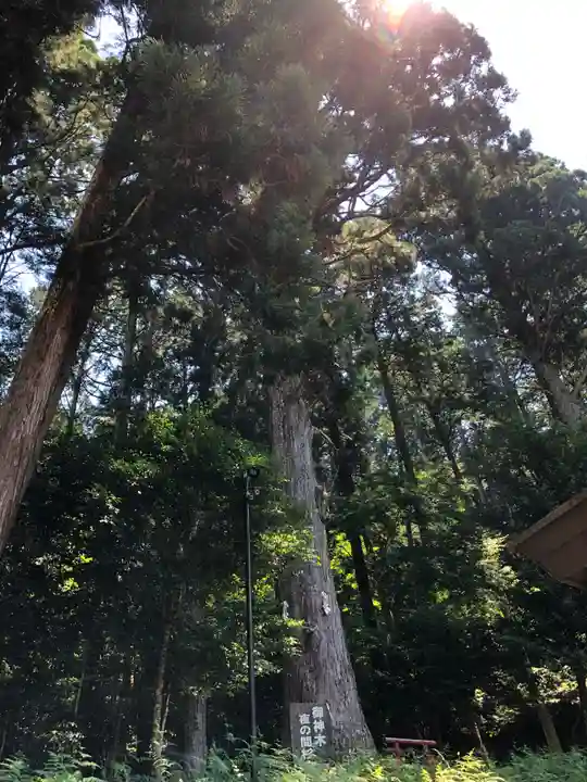 御形神社(兵庫県)