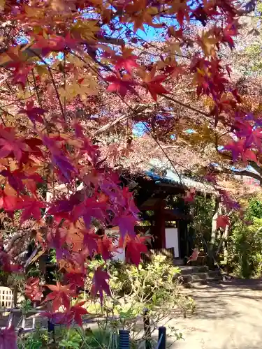 本土寺(千葉県)