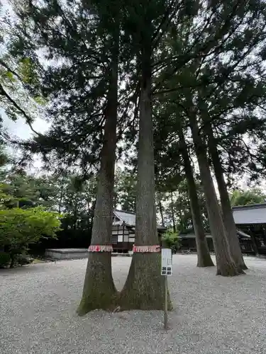 雄山神社前立社壇(富山県)