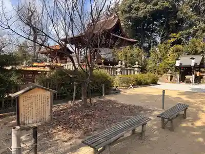 阿智神社(岡山県)