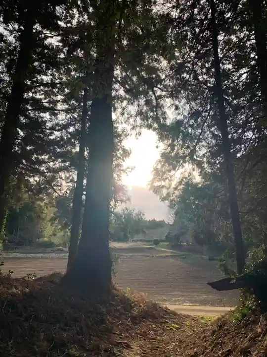 駒形神社(千葉県)